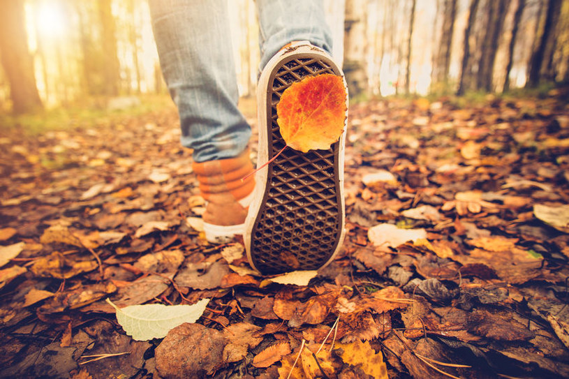 Konserwacja butów na jesień i zimę
