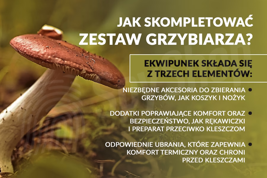 Jakie cechy powinny mieć dobre buty do lasu?