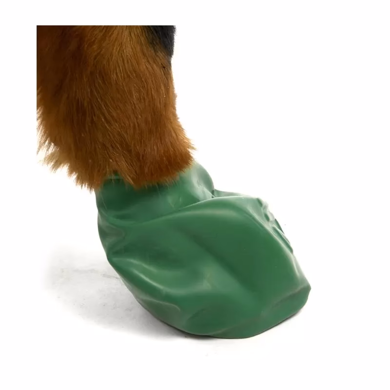 Czy buty dla psa są zdrowe?