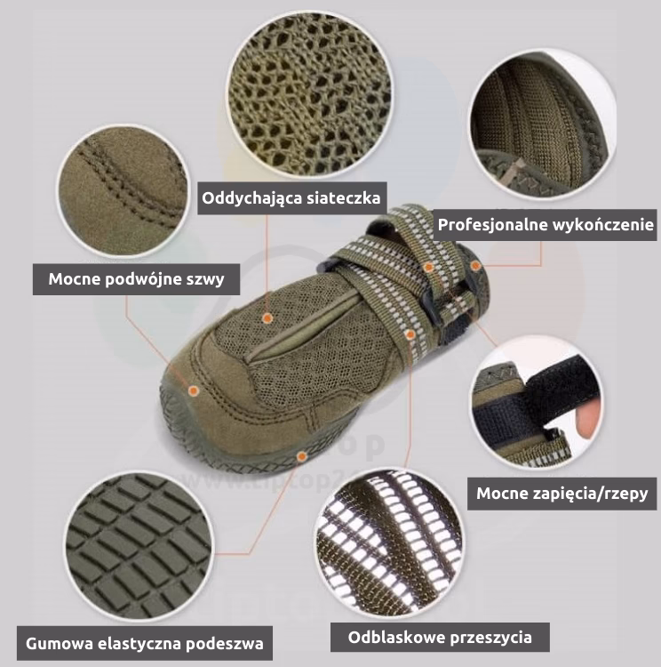 Jak zmierzyć psu łapę?
