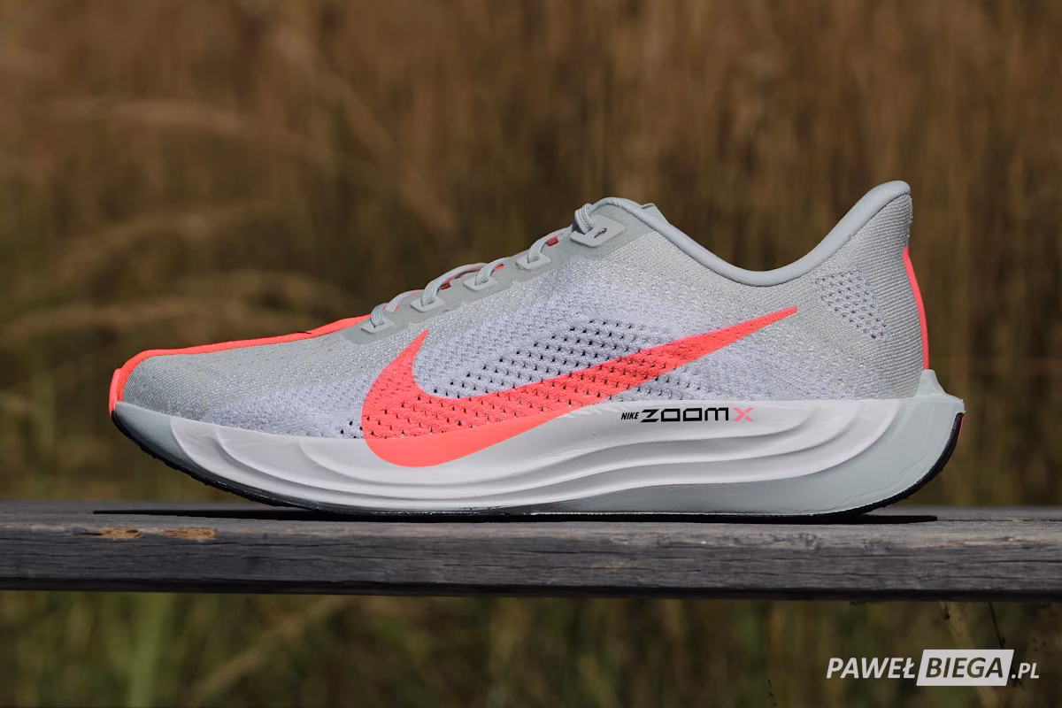 Czym się różnią buty Nike Pegasus?