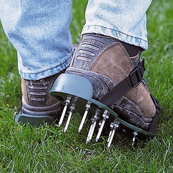 Jak często powinieneś chodzić po trawniku w butach do aeracji?