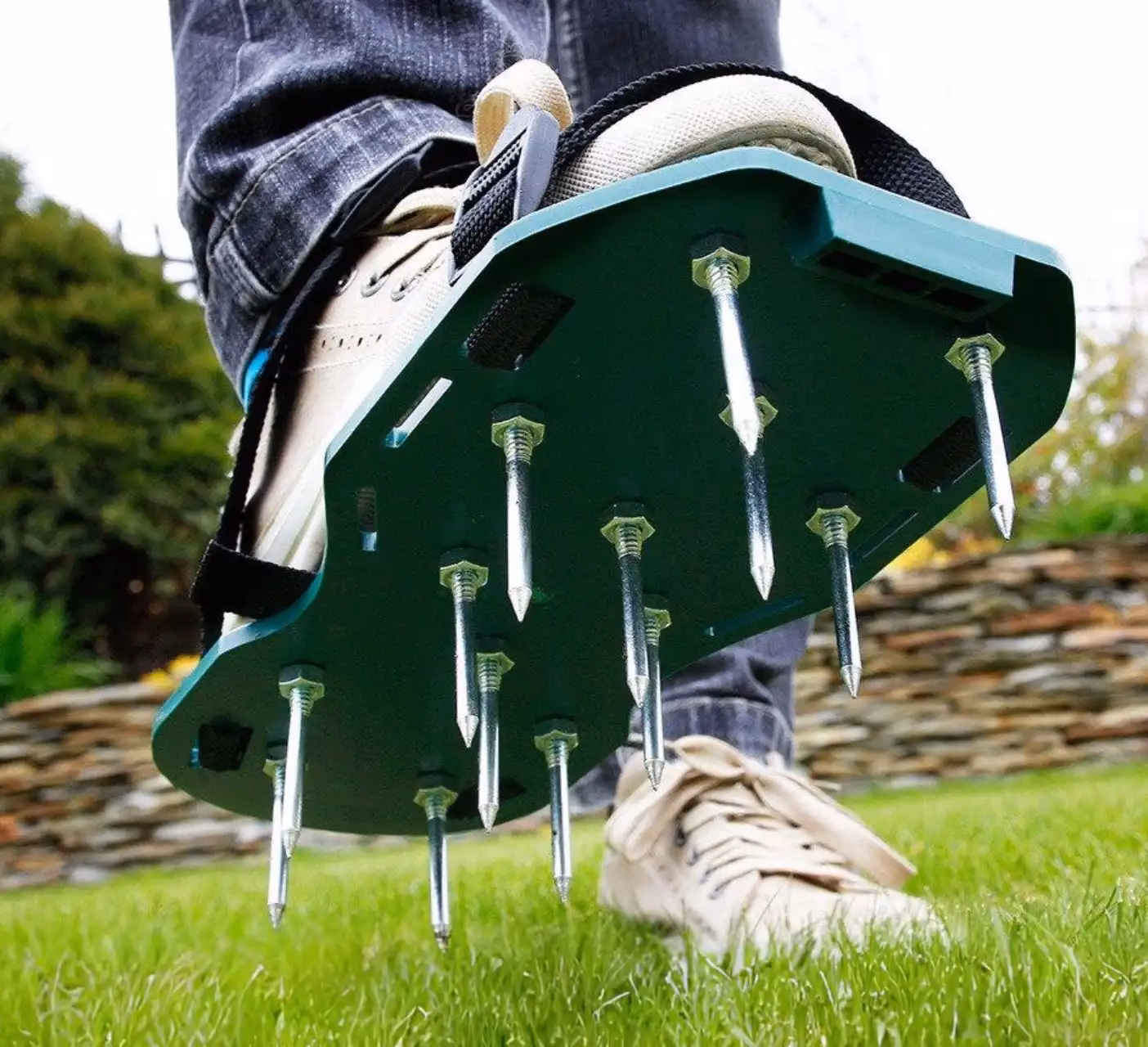 Czy po napowietrzeniu trawnika należy go podlać?