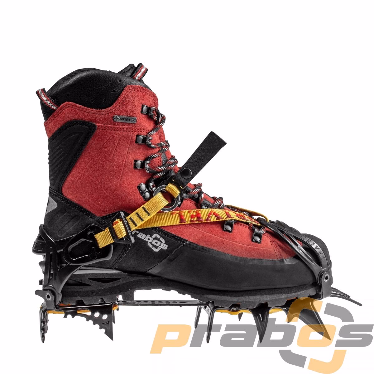 Jakie buty do koszykówki wybrać?