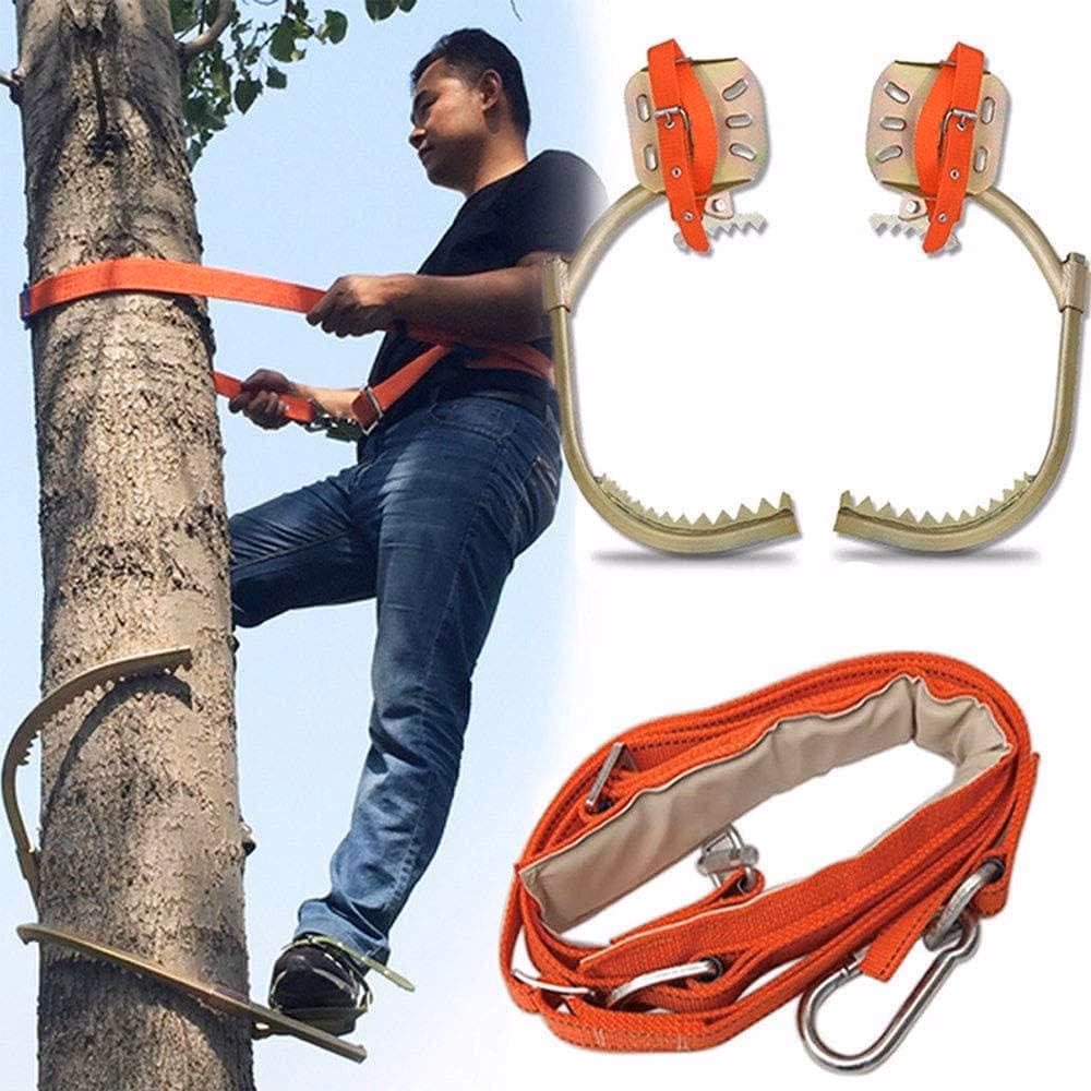 Jak nazywają się buty do wspinania się na drzewa?