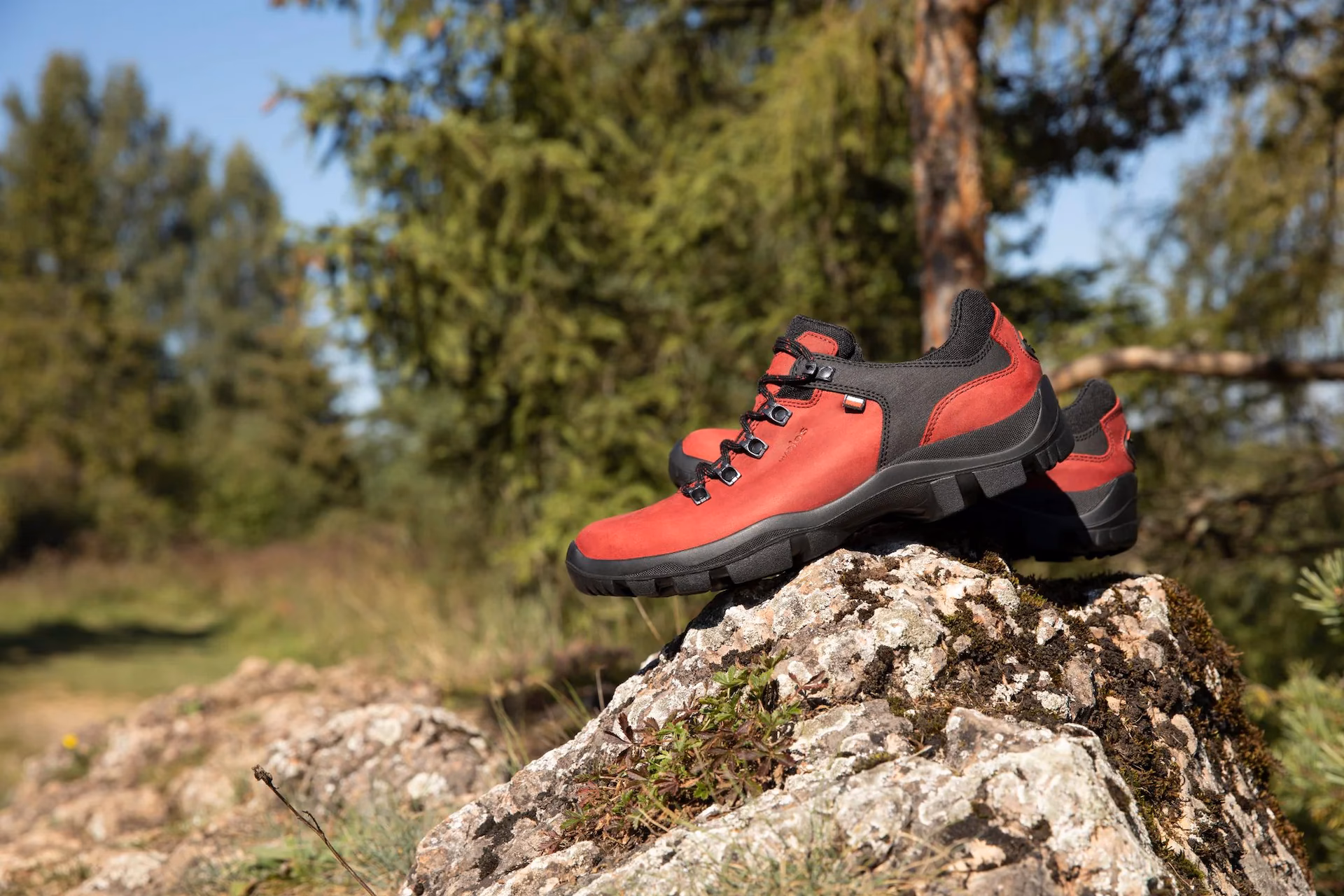 Jakie buty w góry wysokie czy niskie?