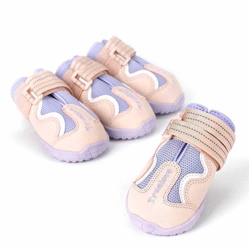 Kiedy pies potrzebuje butów?