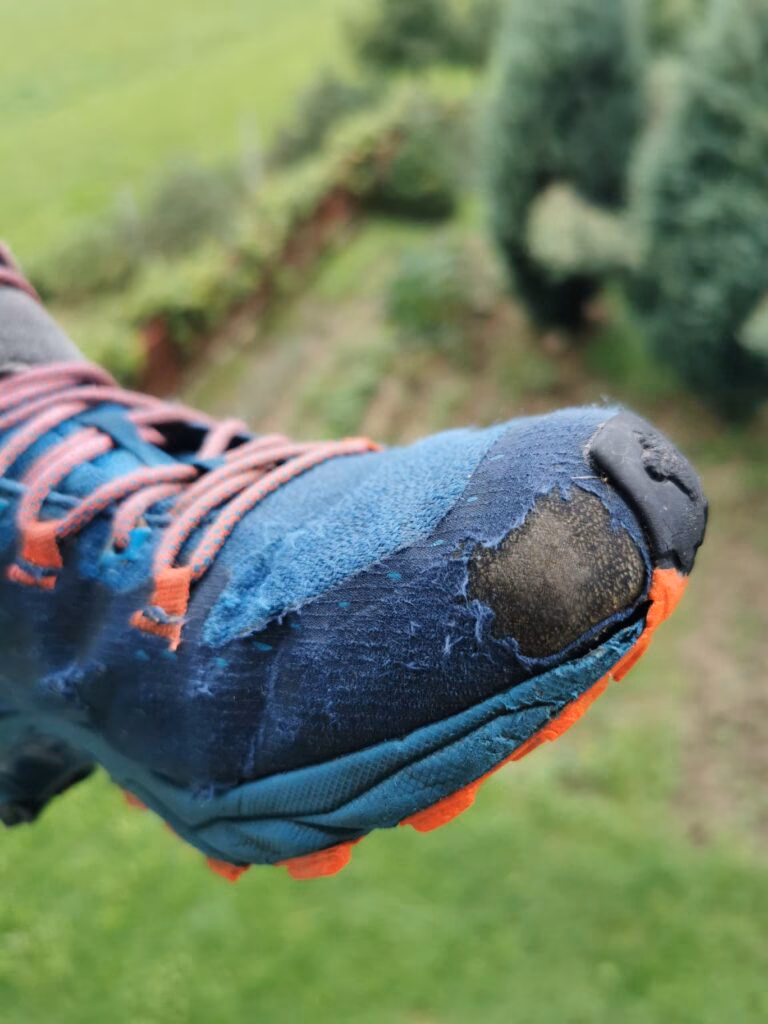 Jakie buty trekkingowe do 300 zł?