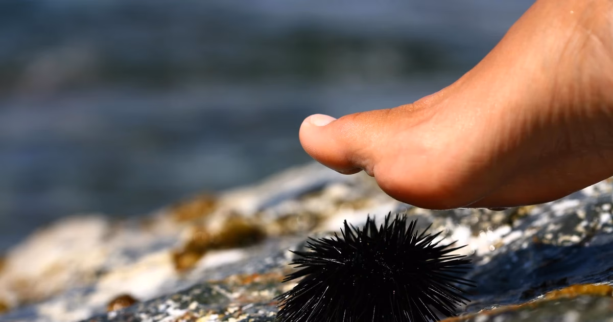 Jakie buty do pływania w Chorwacji?