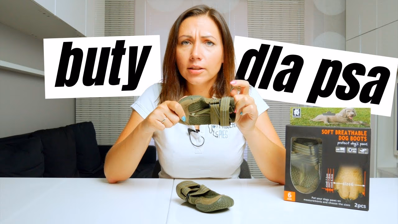 Jak uszyć buty dla psa?