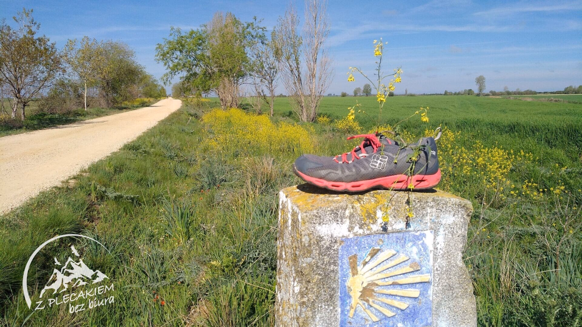 Jakie skarpety na Camino?