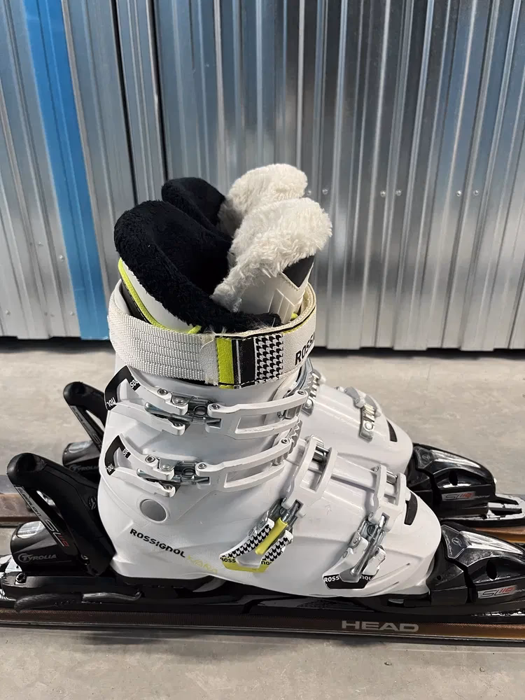 Buty narciarskie - Narty - OLX.pl