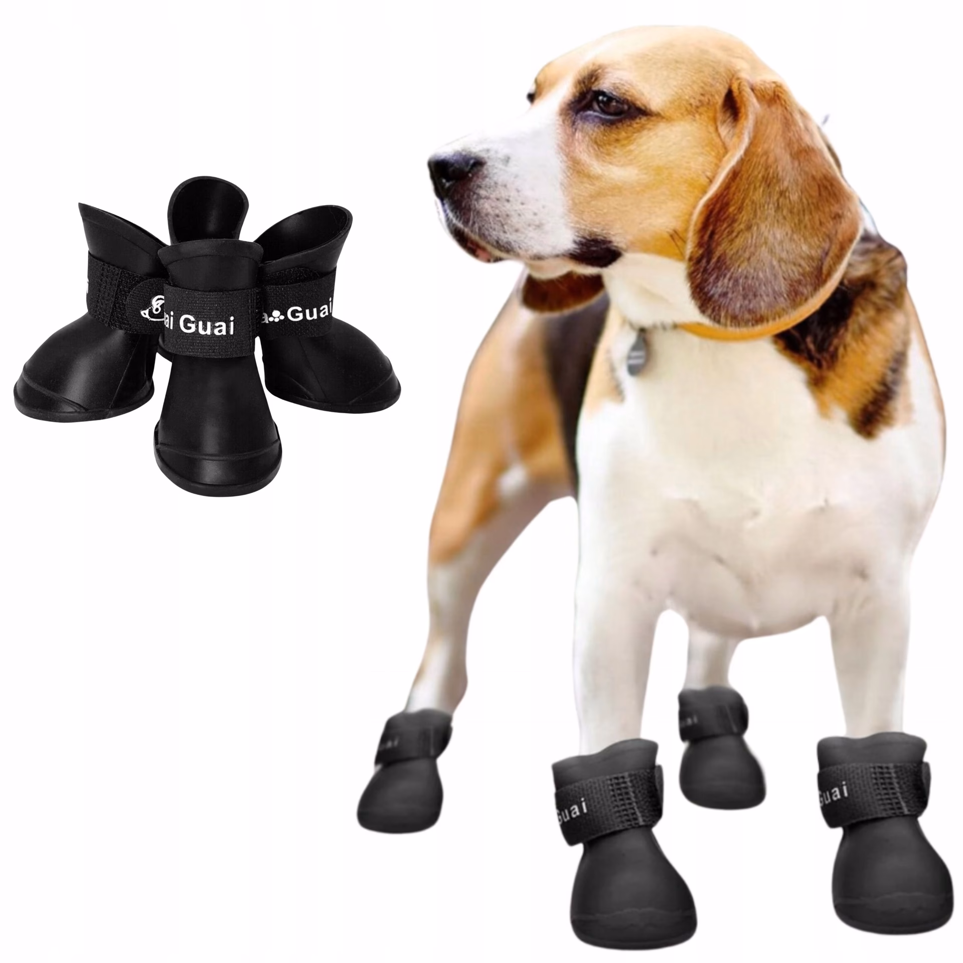 Jak przyzwyczaić psa do butów?